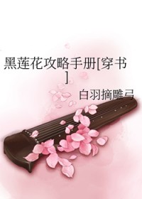 黑莲花攻略手册第四季